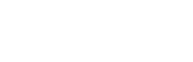 VICONT EXPERT SRL